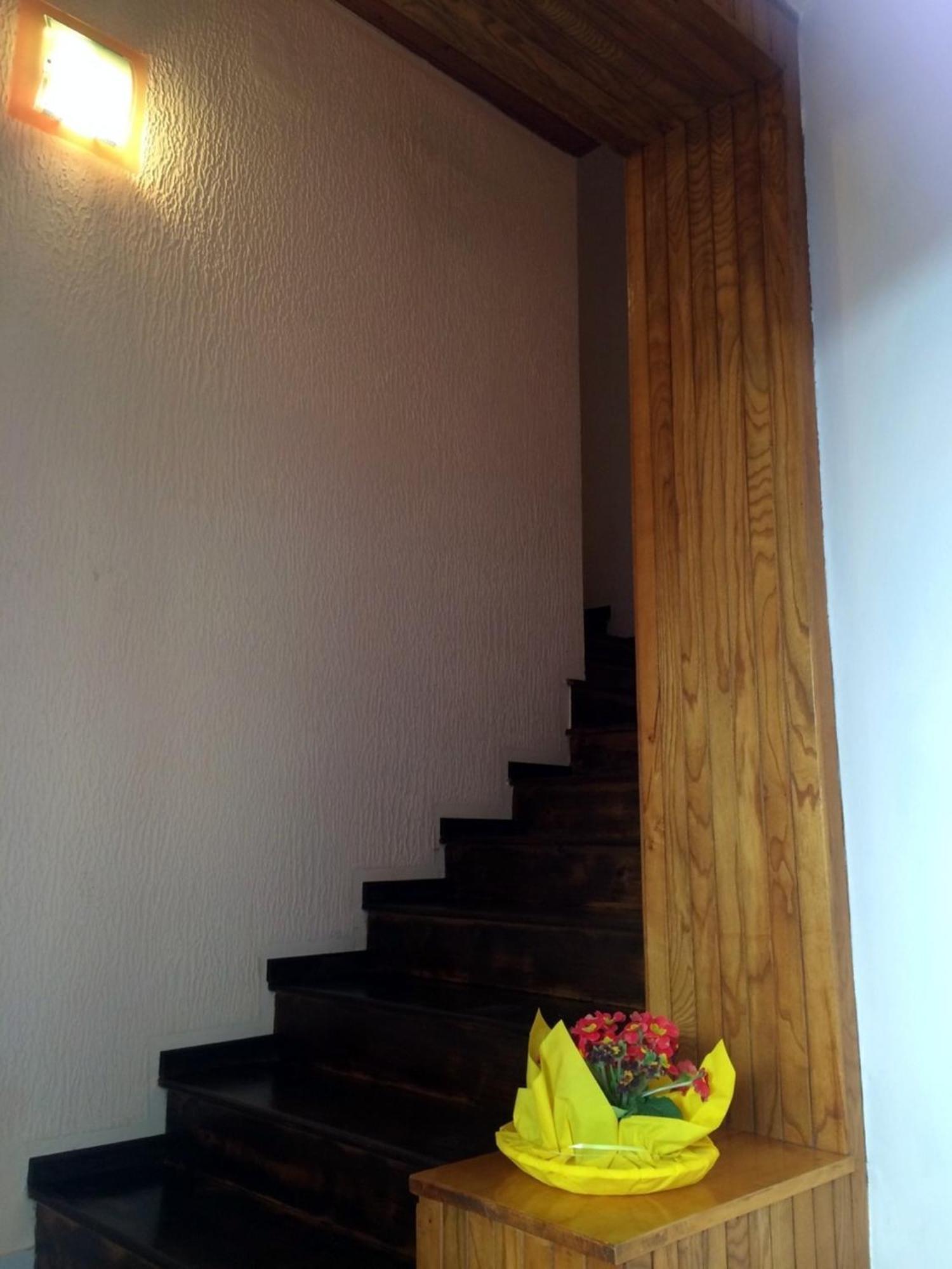 Apartments Neno Umag Zewnętrze zdjęcie