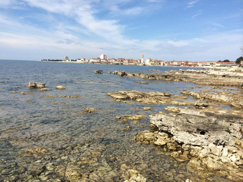 Apartments Neno Umag Zewnętrze zdjęcie